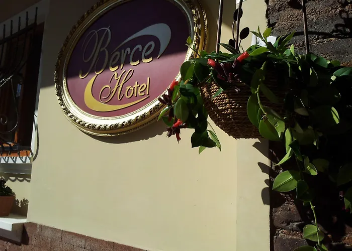 Hotel Berce